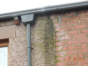What is penetrating damp?