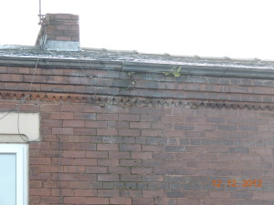 Symptoms of penetrating damp
