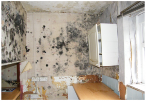mould-room